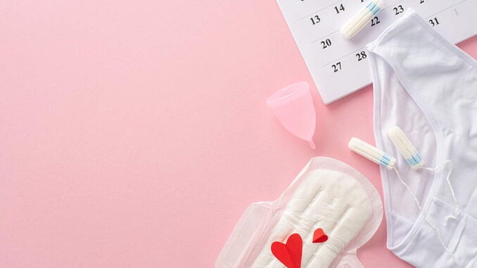 Die Herausforderung: Periodenunterwäsche