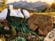 Die Geschichte der bayerischen Trachtenmode: Vom Bauerngewand zum Modetrend