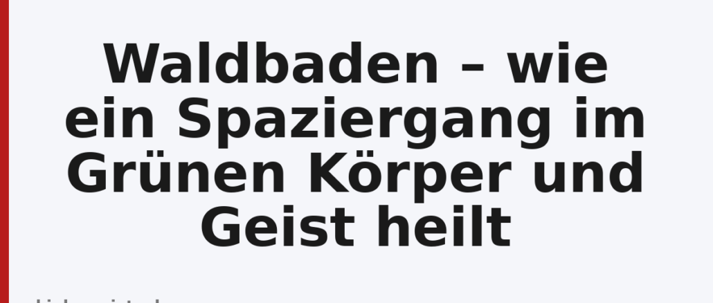 Waldbaden – wie ein Spaziergang im Grünen Körper und Geist heilt