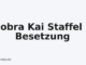 Cobra Kai Staffel 1 Besetzung